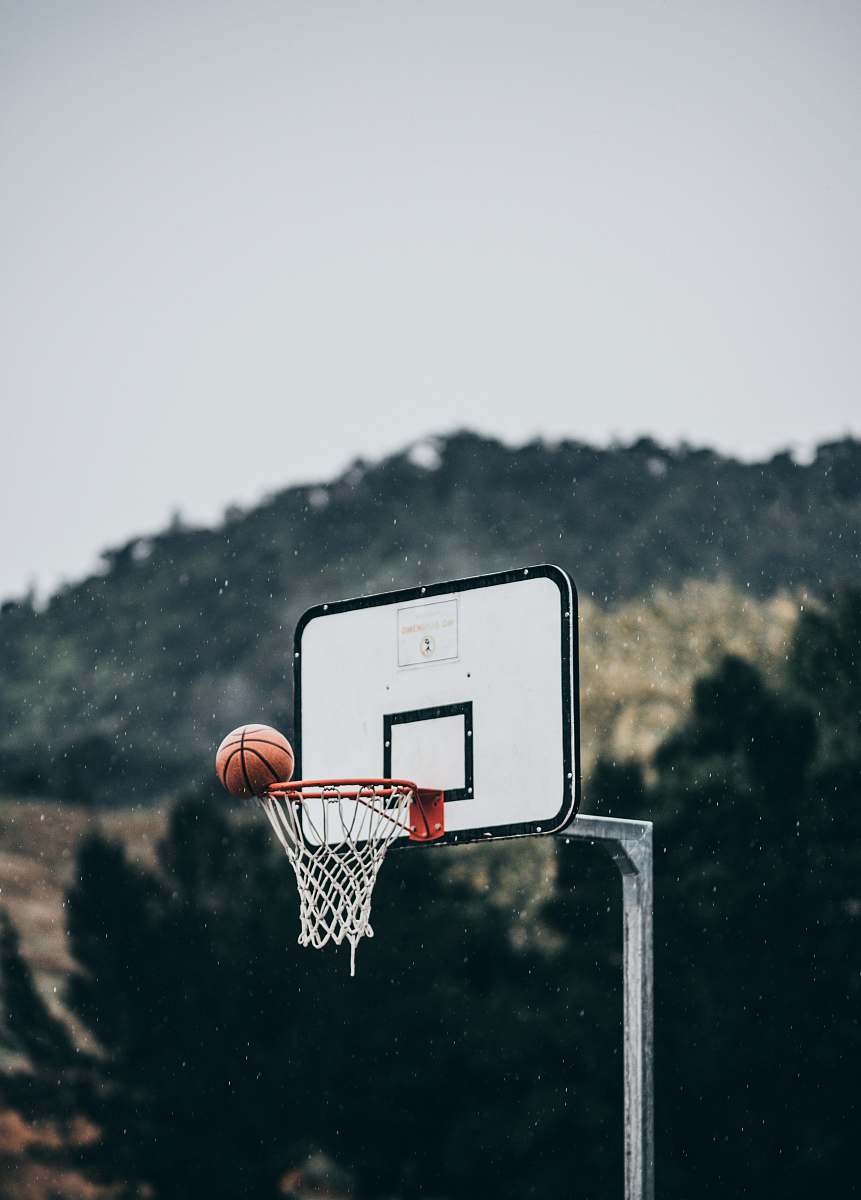 new zealand white basketball system hoop